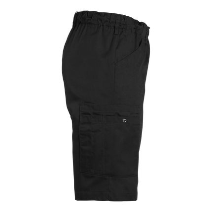 South West Karl Shorts